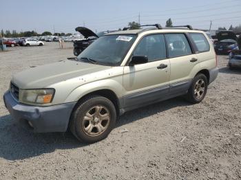  Salvage Subaru Forester