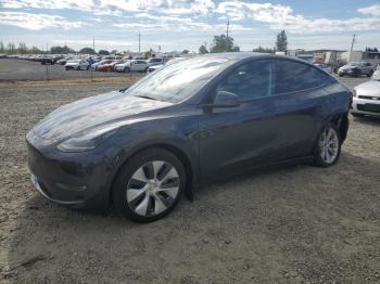  Salvage Tesla Model Y