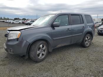  Salvage Honda Pilot