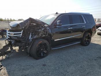  Salvage Cadillac Escalade