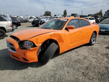  Salvage Dodge Charger