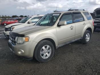  Salvage Ford Escape