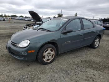  Salvage Dodge Neon