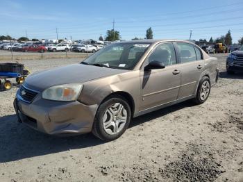  Salvage Chevrolet Malibu