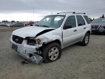  Salvage Ford Escape