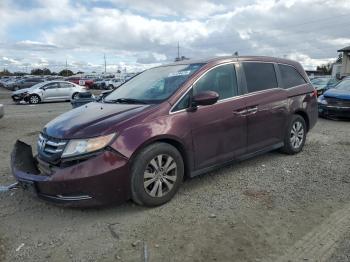  Salvage Honda Odyssey