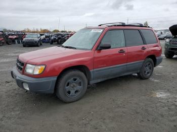  Salvage Subaru Forester