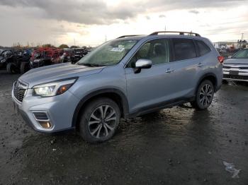  Salvage Subaru Forester