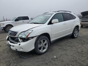  Salvage Lexus RX