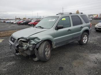  Salvage Ford Escape