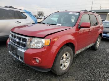  Salvage Ford Escape