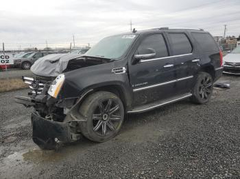  Salvage Cadillac Escalade