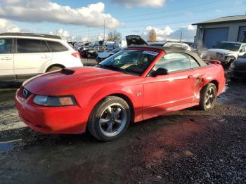  Salvage Ford Mustang