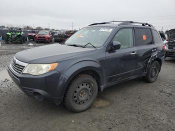  Salvage Subaru Forester