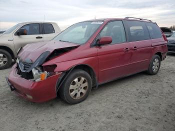  Salvage Honda Odyssey