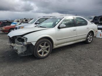  Salvage Nissan Maxima