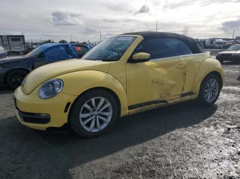  Salvage Volkswagen Beetle