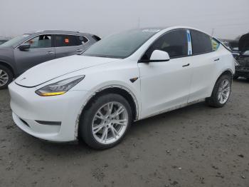  Salvage Tesla Model Y