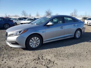  Salvage Hyundai SONATA