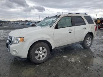  Salvage Ford Escape