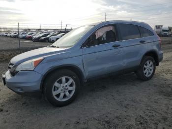  Salvage Honda Crv