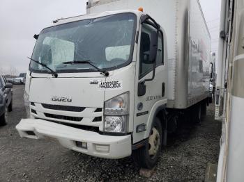  Salvage Isuzu Nrr