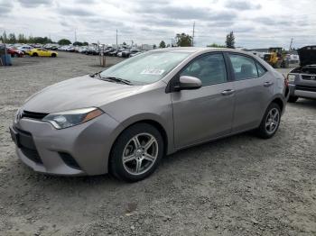  Salvage Toyota Corolla