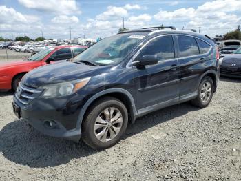  Salvage Honda Crv