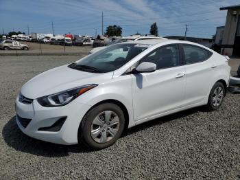  Salvage Hyundai ELANTRA