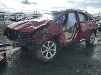  Salvage Lexus RX