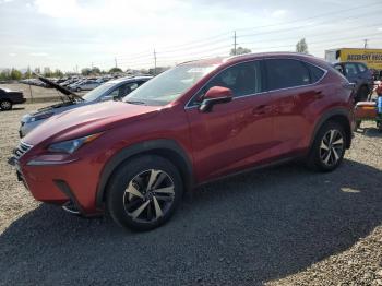  Salvage Lexus NX