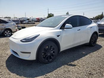  Salvage Tesla Model Y