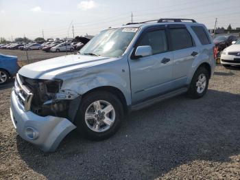  Salvage Ford Escape