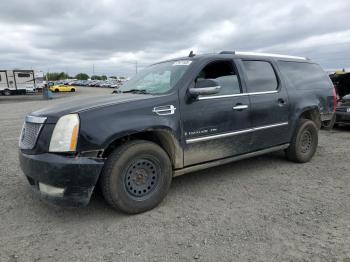  Salvage Cadillac Escalade