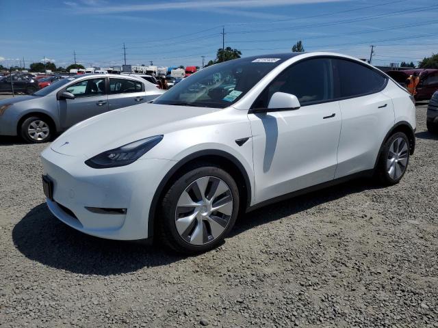  Salvage Tesla Model Y
