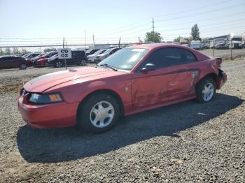  Salvage Ford Mustang