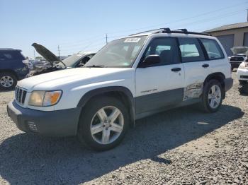  Salvage Subaru Forester