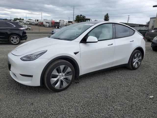  Salvage Tesla Model Y