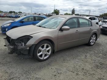  Salvage Nissan Maxima