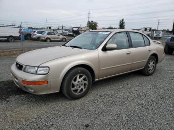  Salvage Nissan Maxima