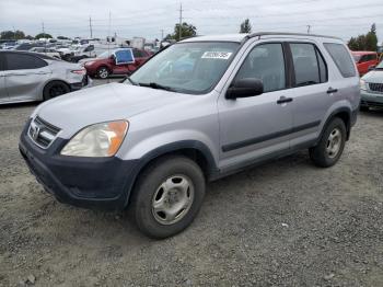  Salvage Honda Crv