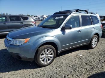  Salvage Subaru Forester