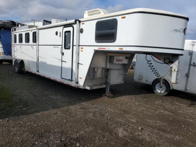  Salvage Classic Roadster Horsetrail