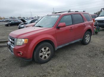  Salvage Ford Escape