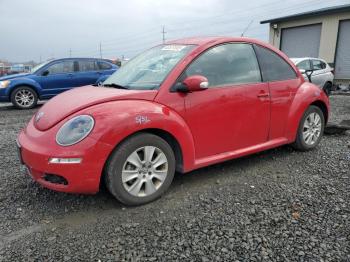  Salvage Volkswagen Beetle