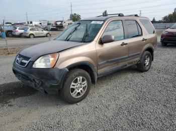  Salvage Honda Crv