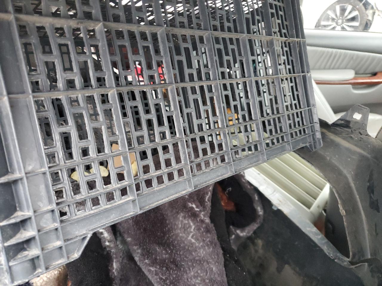 Toyota Sienna Xle Image 4