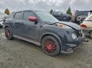 Nissan JUKE Nismo Rs Image 3
