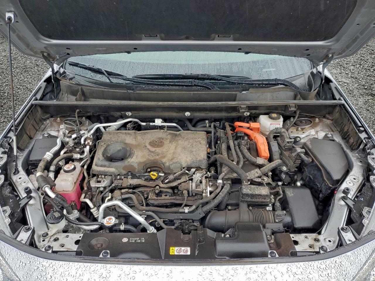 Toyota RAV4 Se Image 7