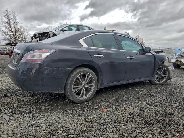 Nissan Maxima S Image 5